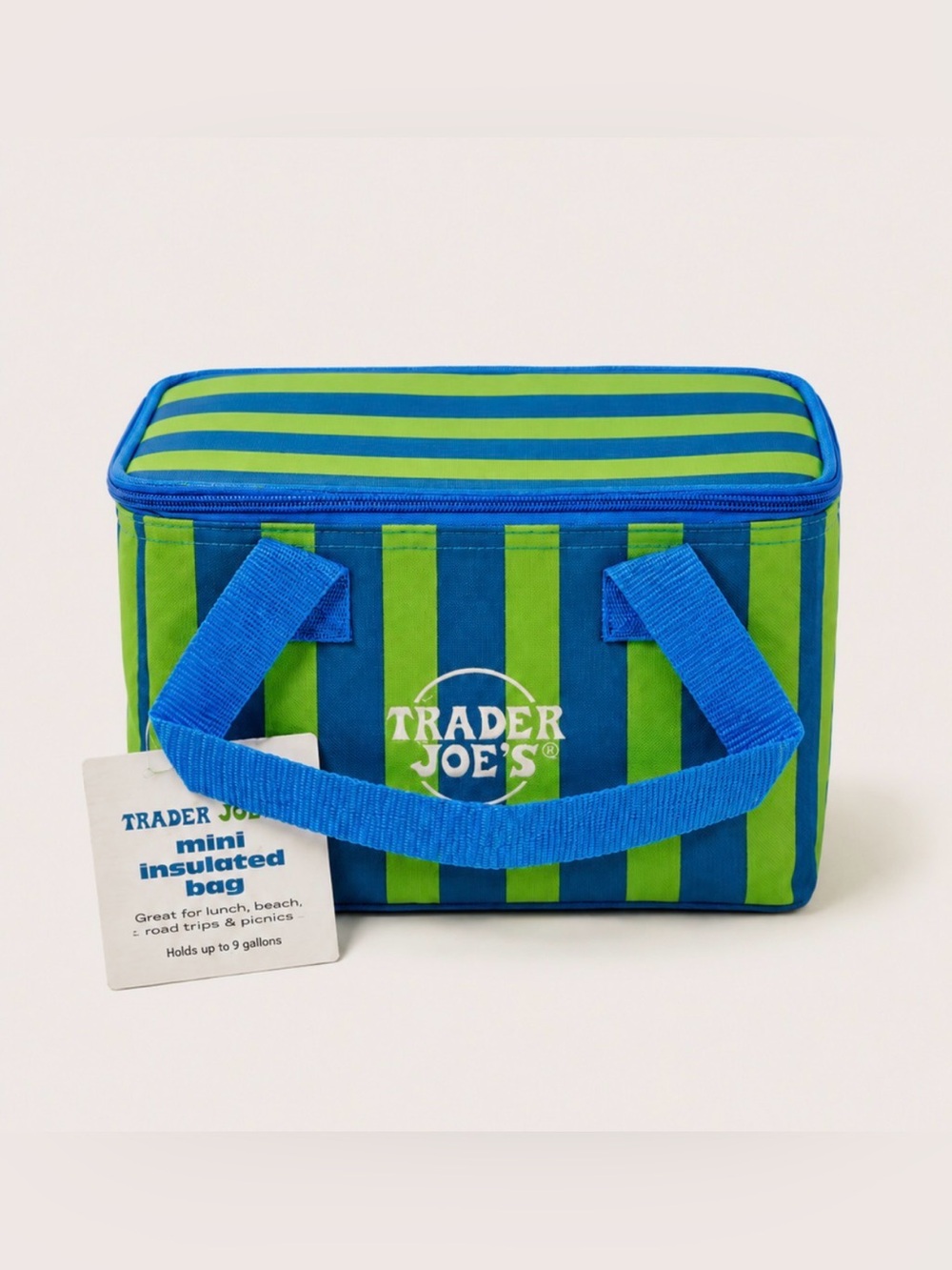 NWT - Trader Joe's Mini Insulated Tote Bag - Blue & Green Striped